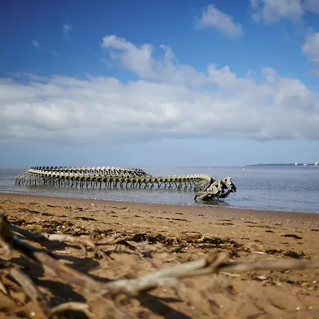 Апартаменты Neuf 23m² Proche Et Centre Inclus - Fr-1-364-183 Сен-Бревен-ле-Пен