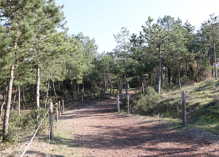 Neuf 23m² Proche Et Centre Inclus - Fr-1-364-183 * Сен-Бревен-ле-Пен