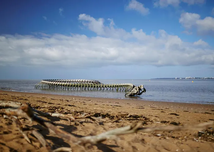 Апартаменты Neuf 23m² Proche Et Centre Inclus - Fr-1-364-183 Сен-Бревен-ле-Пен