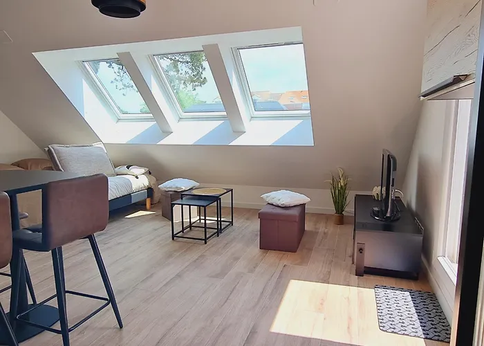 Studio Neuf 23M² Proche Plage Et Centre Tout Inclus - Fr-1-364-183 Apartamento